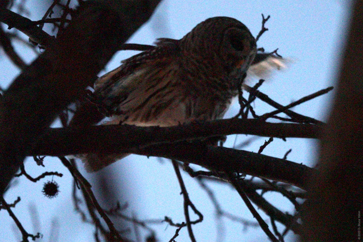 20201206BDOW05