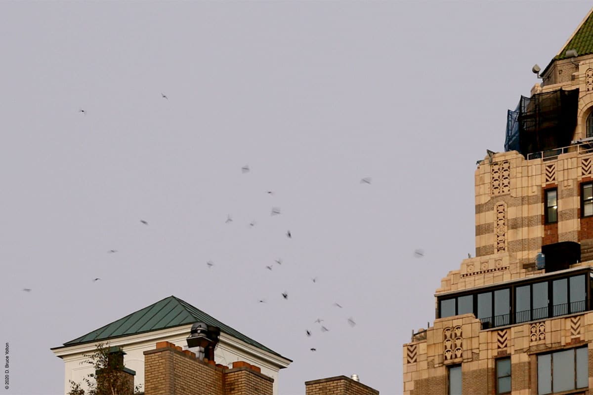 20201017CHSW02