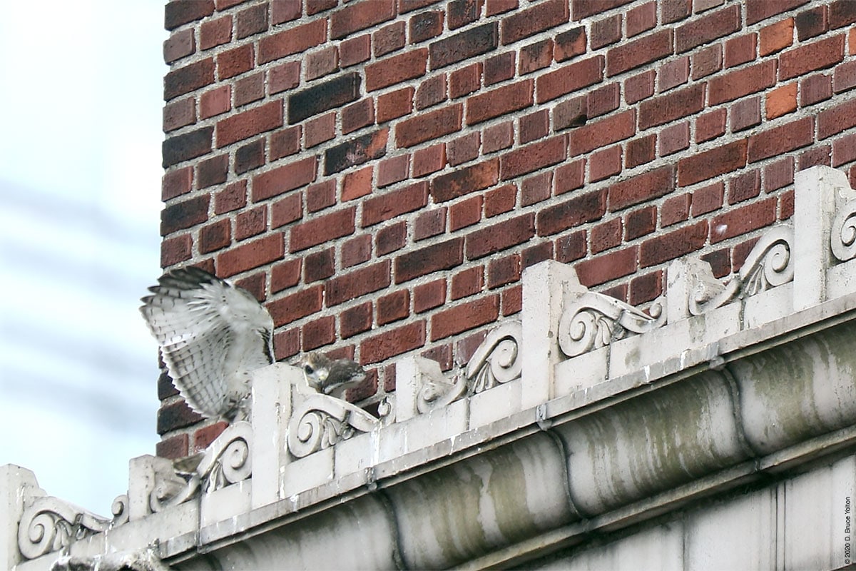 20200612RTHA12