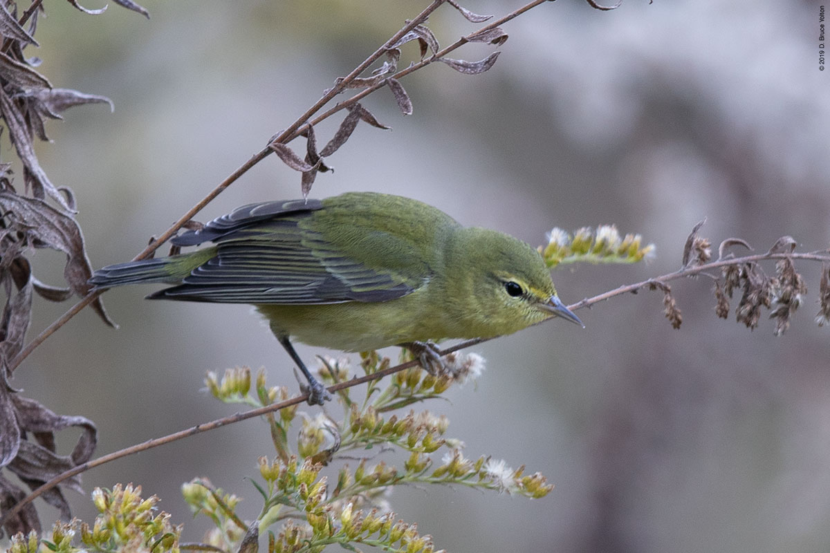 20191019TEWA03