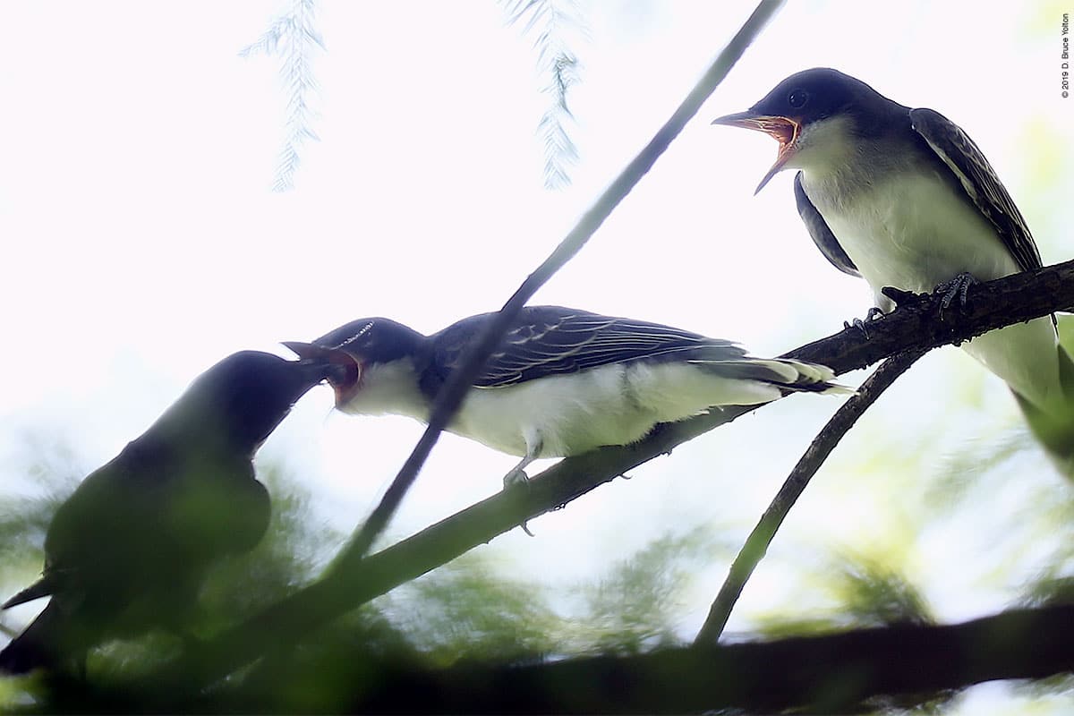 20190715EAKI02