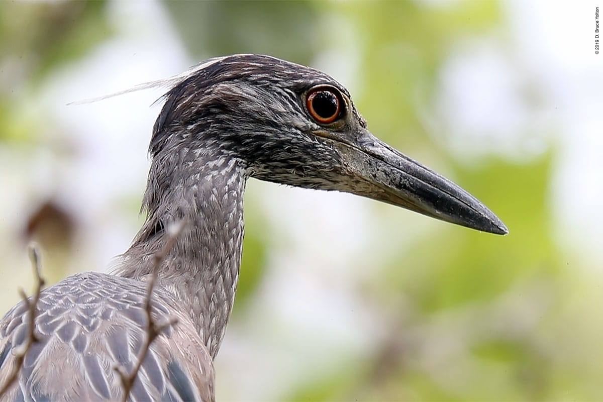 20190703YCNH04