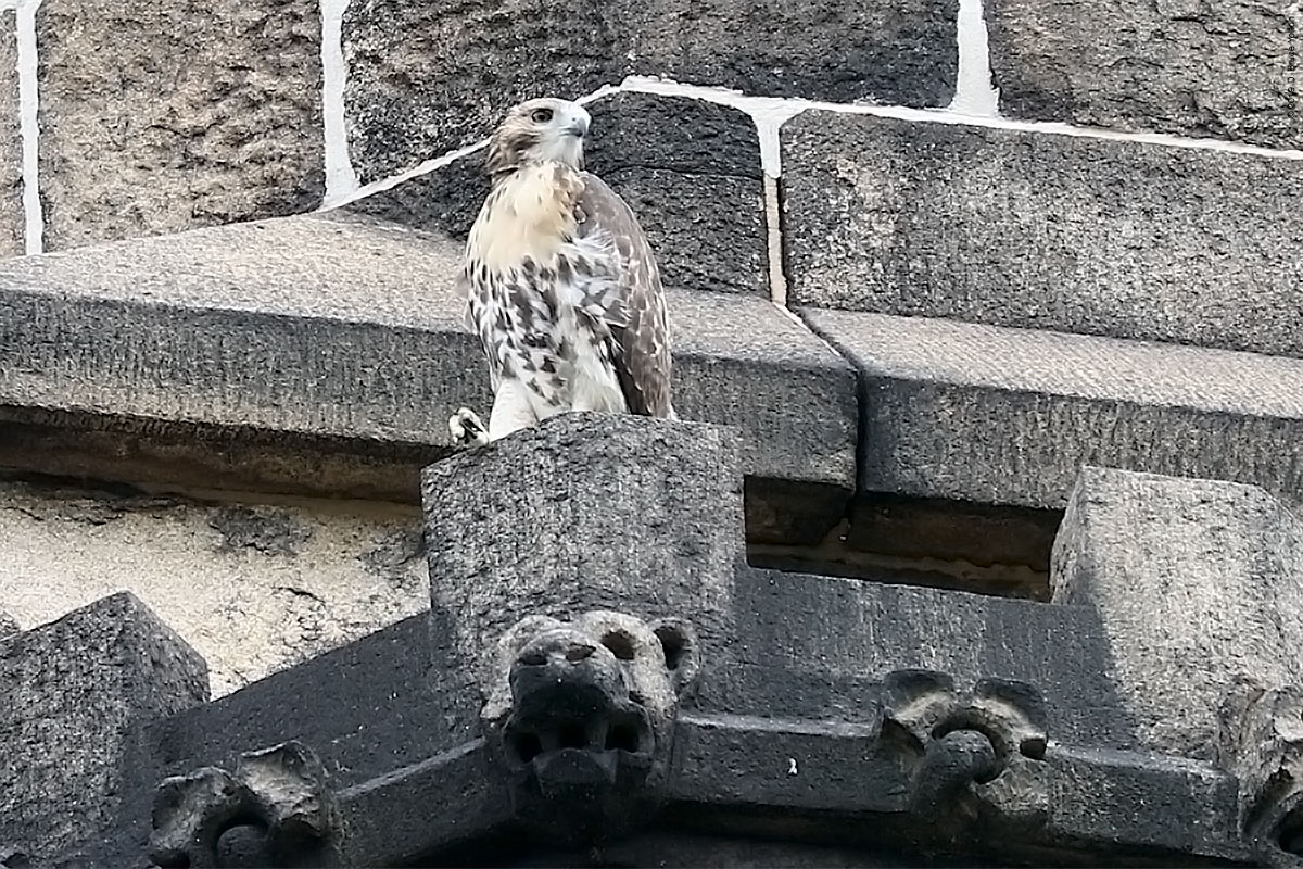 20190702RTHA03