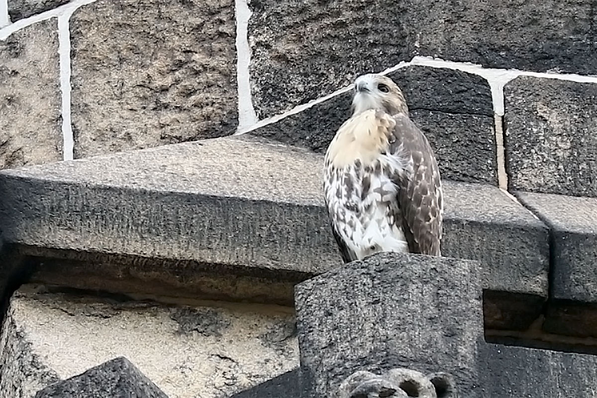 20190702RTHA04