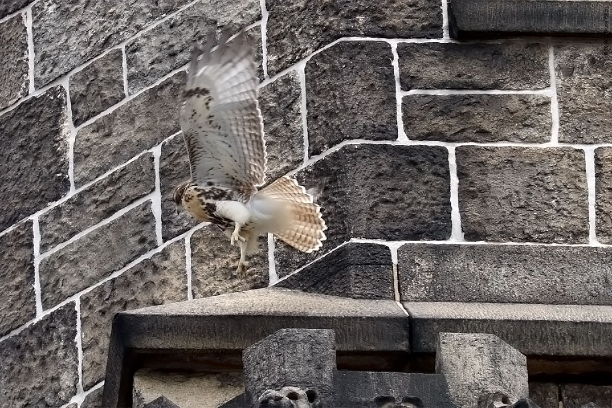 20190702RTHA05