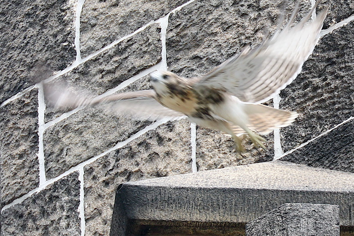 20190702RTHA10