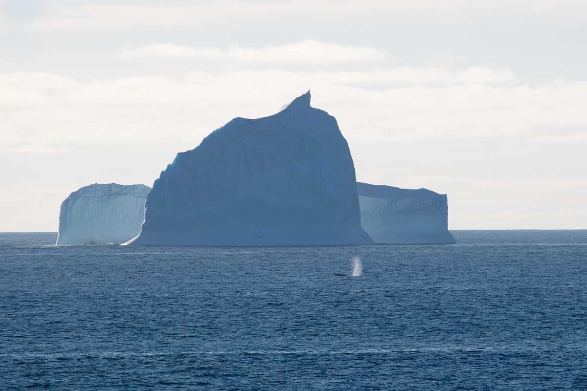 Antarctica 2017 - Landscapes 045