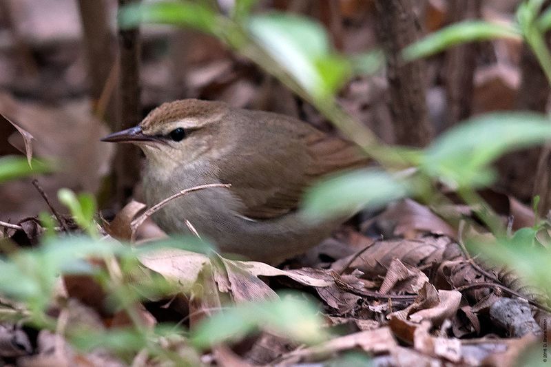 20160428SWWA06