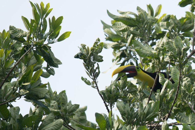 Panama and Costa Rica-41