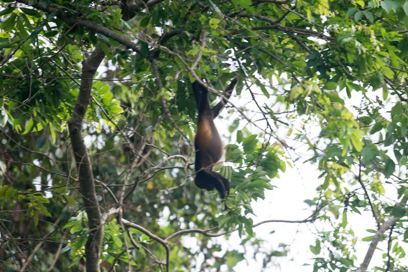 Panama and Costa Rica-41