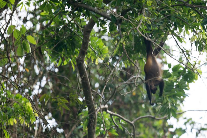 Panama and Costa Rica-41