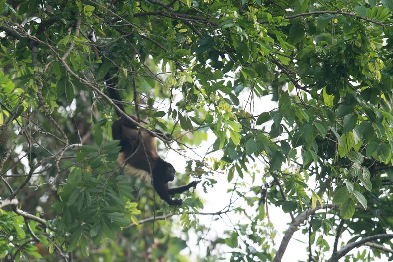 Panama and Costa Rica-41