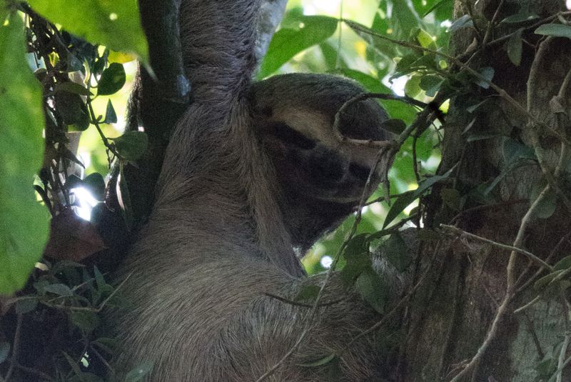 Panama and Costa Rica-41