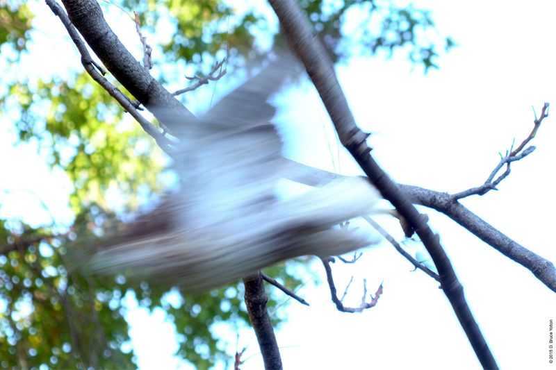 20151018RTHA05