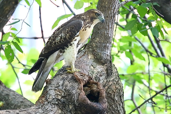 20120622WSRT26