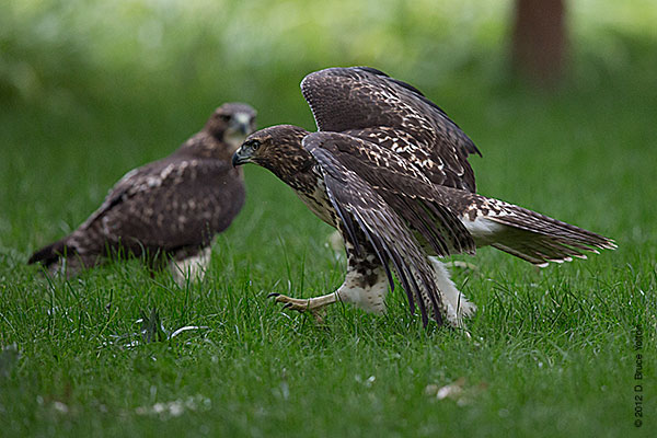 20120619WSRT15