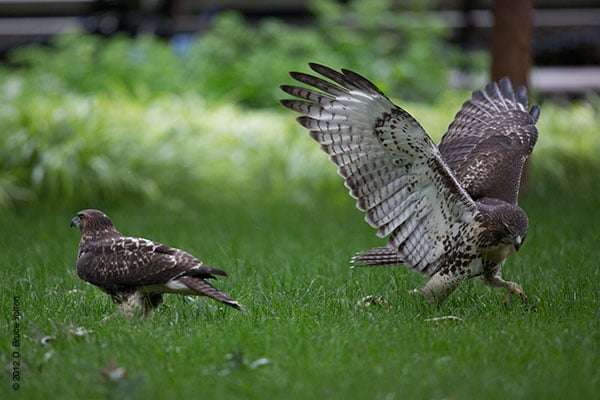 20120619WSRT19