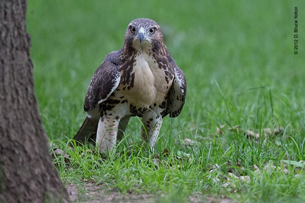 20120619WSRT21