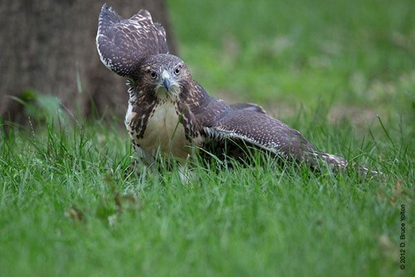 20120619WSRT23