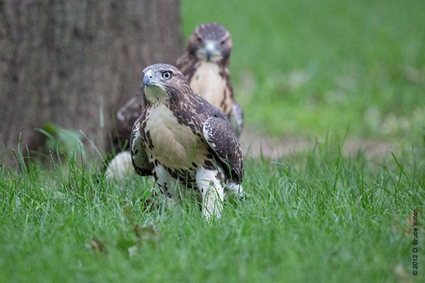 20120619WSRT26