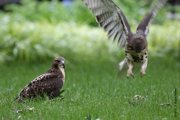 20120619WSRT35