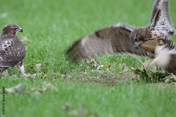 20120619WSRT36