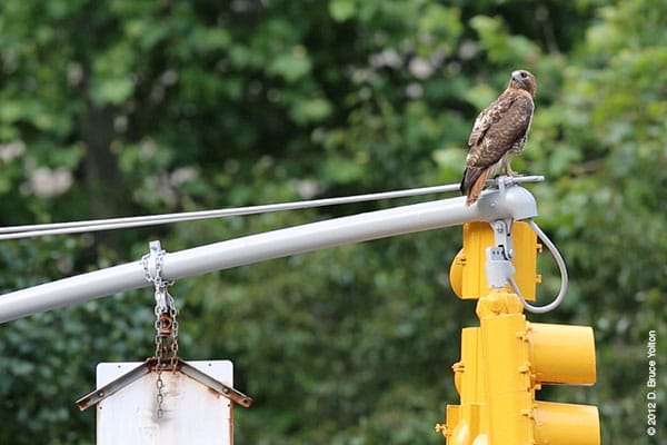 20120619WSRT44