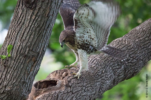 20120619WSRT55