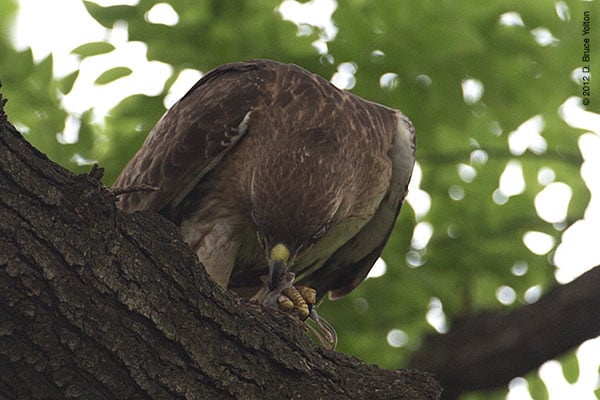 20120530WSRT11