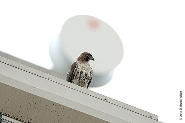 20120522WSRT21