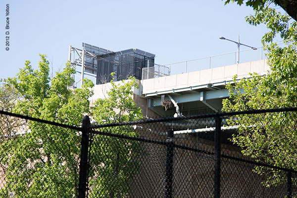 20120519APRT02