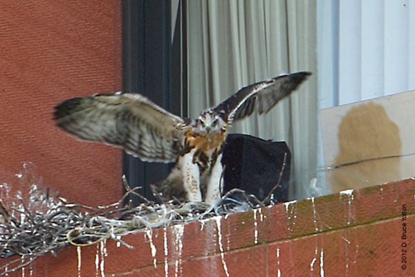 20120517WSRT06