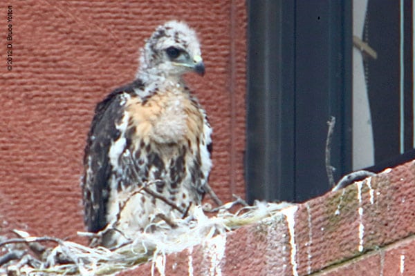 20120513WSRT01