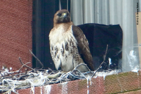 20120507WSRT08