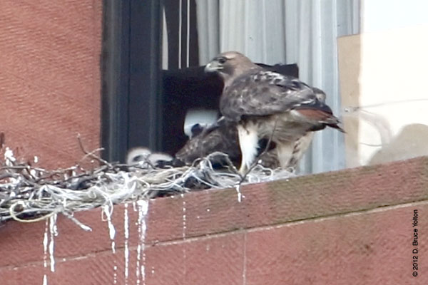 20120430WSRT06