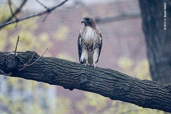 20120415WSRT26