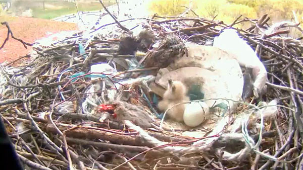 20120410WSRTSS02