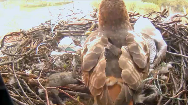 20120410WSRT01