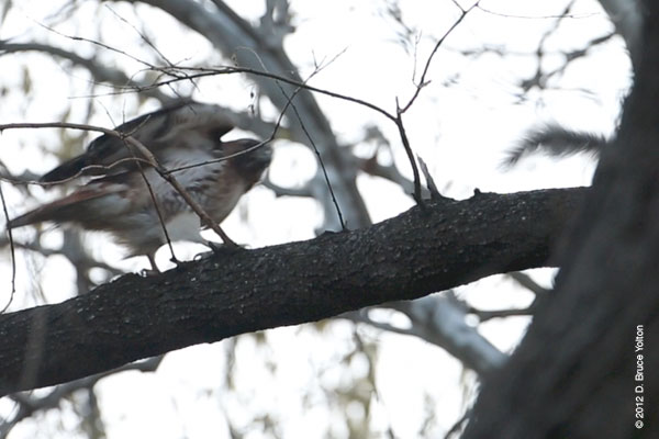 20120408WSRT20