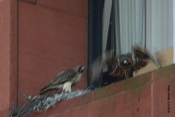 20120405WSRT04