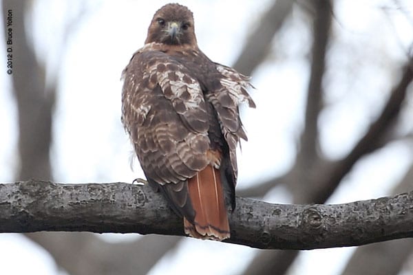 20120405WSRT10