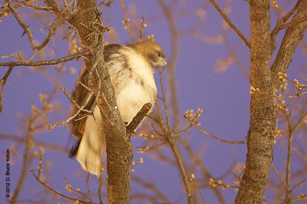 20120319WSRT19