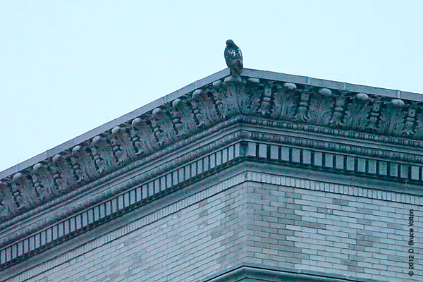 20120315WSRT13