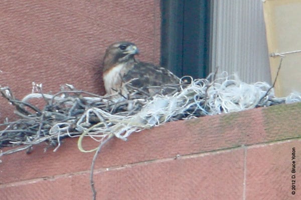 20120311WSRT05