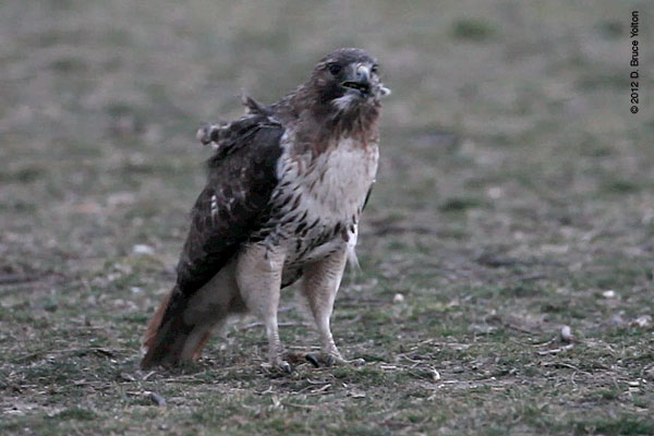 20120309WSRT16