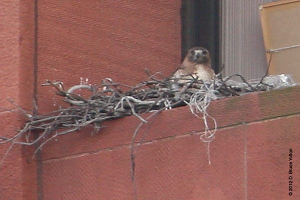 20120307WSRT06