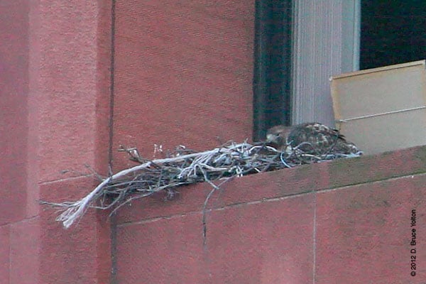 20120305WSRT11