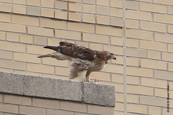 20120303_5thRT04