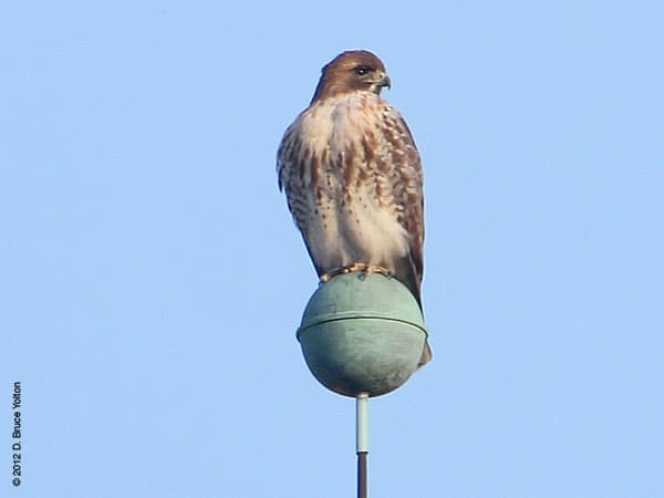 20120219WSRT08