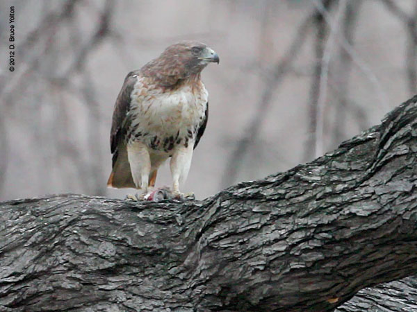 20120218WSRT23